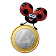 euro coccinella 