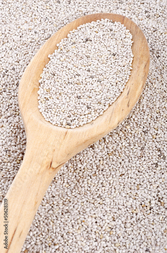 Photo: Chia Seeds in a Wooden Spoon Chia Seeds in a Wooden Spoon