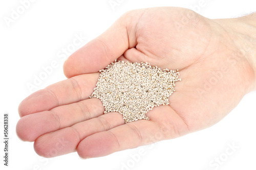 Photo: Hand Holding Chia Seeds Hand Holding Chia Seeds