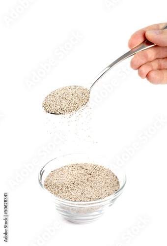 Photo: Spoonful of Chia Seeds Spoonful of Chia Seeds