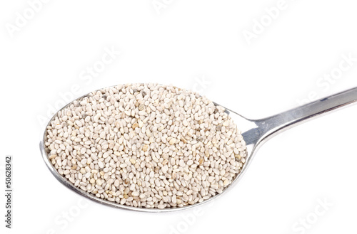 Photo: Spoonful of Chia Seeds Spoonful of Chia Seeds