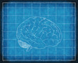 Blueprint of Human Consiousness