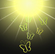 Butterfly and sun background