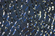 Broken glass