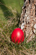 Egg hunt