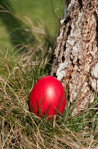 Photo: Egg hunt Egg hunt