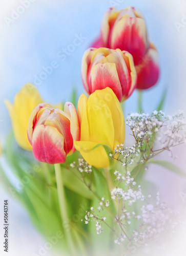 Photo: Bunch of tulip flowers. Bunch of tulip flowers.