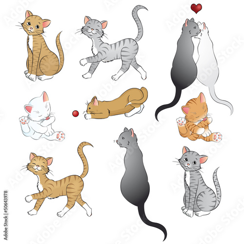 Vector: Katzen Vektor Set Katzen Vektor Set