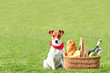 Foto: picnic picnic