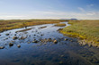 rustic river