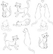 Vector: Katzen Vektor Set Outlines Katzen Vektor Set Outlines
