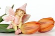 Foto: auf den Frühling warten auf den Frühling warten
