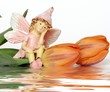 Foto: Elfe am Fluss Elfe am Fluss