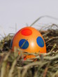 Photo: Nest with Easter eggs on the wooden table Nest with Easter eggs on the wooden table