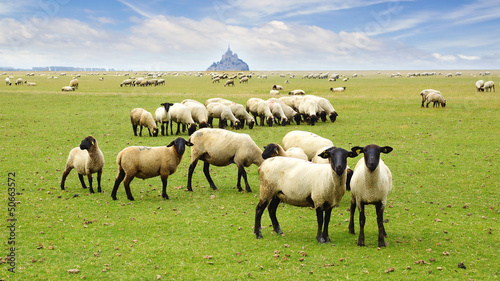 Photo: Mont Saint Michel. Mont Saint Michel.