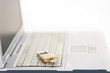 Foto: Laptop und Schloss Laptop und Schloss