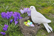 Photo: Easter dove Easter dove