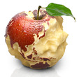 Apple with carved continents. Asia