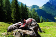 Wanderschuhe bei Wanderung in den Bergen