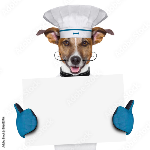 Photo: dog cook chef banner dog cook chef banner