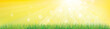 Vector of spring background with green grass.