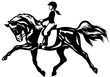 little girl riding horse