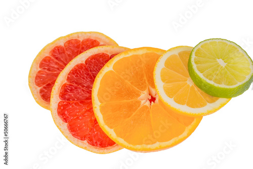 Photo: Orangenscheiben Orangenscheiben