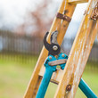 Detail of Gardening Secateurs Hang Up on a Gardening Ladded