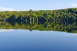 Photo: Reflection of colorful forest Reflection of colorful forest