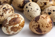 quail eggs