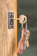 Keys in a door