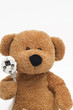 teddybär mit stromkabel