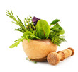 Mortar with fresh herbs isolated on white
