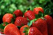 Foto: Erdbeeren Erdbeeren