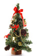 Christmas Pine Cone Tree