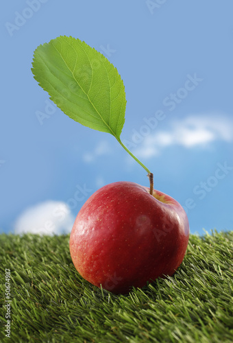 Photo: Red apple on green grass Red apple on green grass