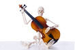 Skeleton playing violin isolated on the white