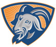 Ram Mountain Goat Head Shield Retro