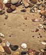 pebbles and shells