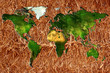 Foto: Planisphère Planisphère