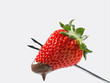 lecker Erdbeere 