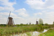 dutch windmills in summer day
