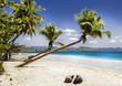 Photo: Tropical beach Tropical beach