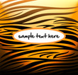 Tiger pattern