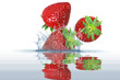 Obst 302