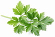 Parsley.