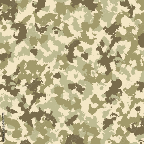 Vector: Camouflage pattern - vector Camouflage pattern - vector