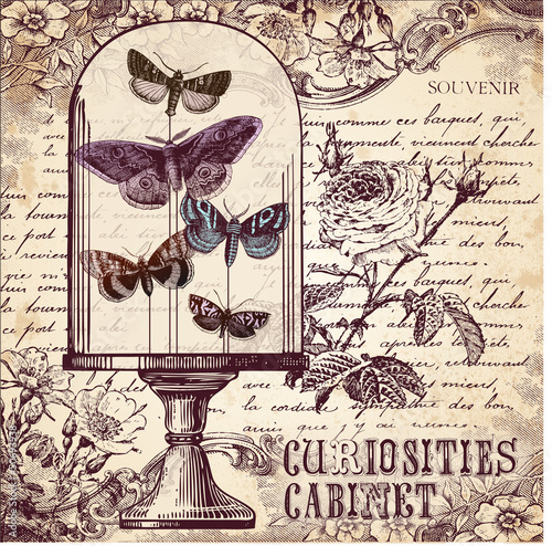 Vector: The Curiosities Cabinet The Curiosities Cabinet