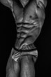 Fit male model