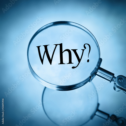 Photo: why? why?